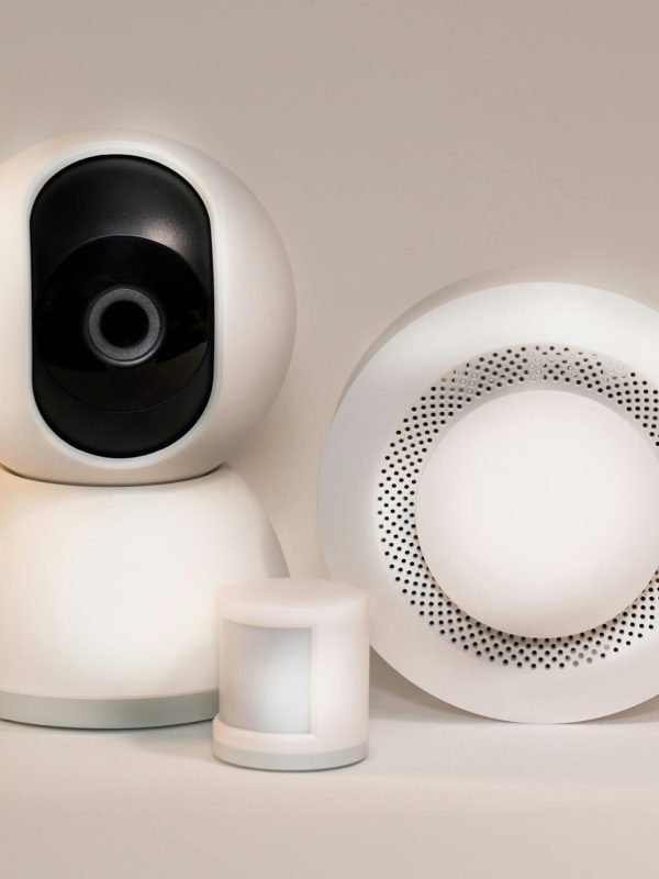 pexels-jakubzerdzicki-24503710 pexels-jakubzerdzicki-24503710